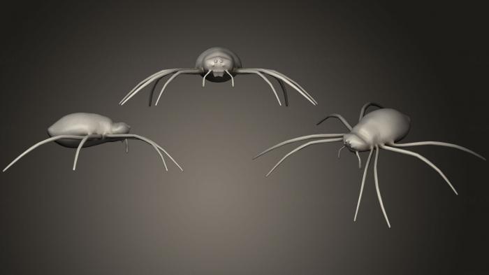 نموذج ثلاثي الأبعاد لآلة CNC الحشرات دبور العنكبوت